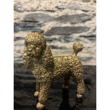 Accessoire Salon Caniche 12,5 2