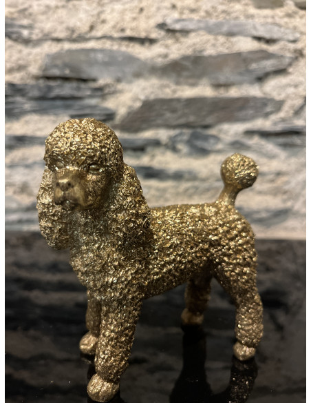 Accessoire Salon Caniche 12,5