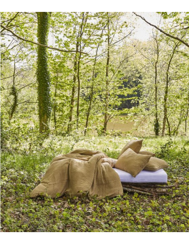 Taie Gaze De Coton Vert Lichen 50/70