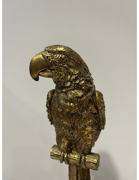 Accessoire Salon Perroquet