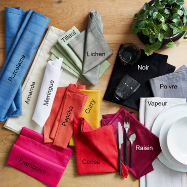 Serviette de table lichen x1