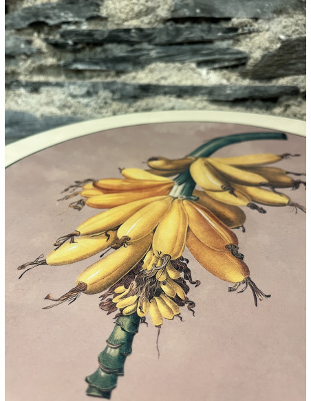 Set De Table Lot De 6 Rond Tropical 3X2