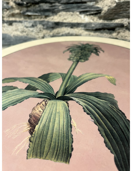 Set De Table Lot De 6 Rond Tropical 3X2