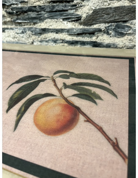 Set De Table Set De 6 Rectangle Fruits