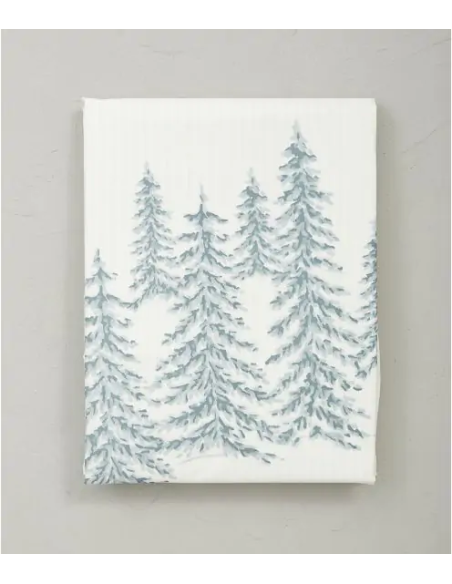 Taie recit d'hiver   50/70