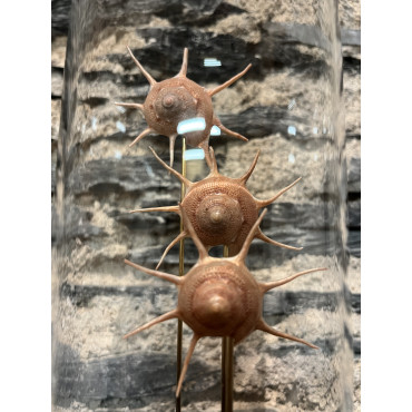 Accessoire salon globes guilfordya yoka 2