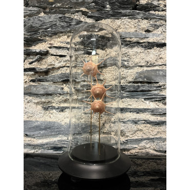 Accessoire salon globes guilfordya yoka
