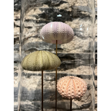 Accessoire salon globes pm oursins 2