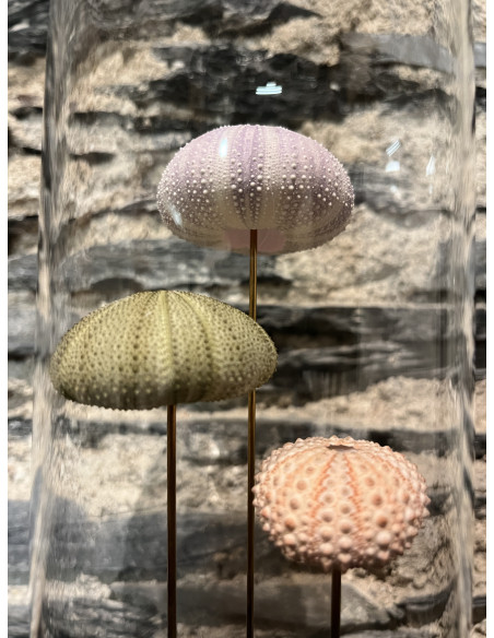 Accessoire salon globes pm oursins