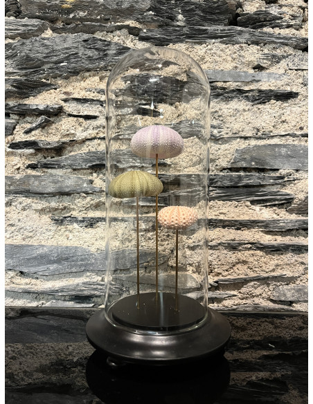 Accessoire salon globes pm oursins