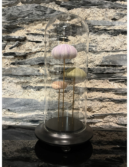 Accessoire salon globes pm oursins