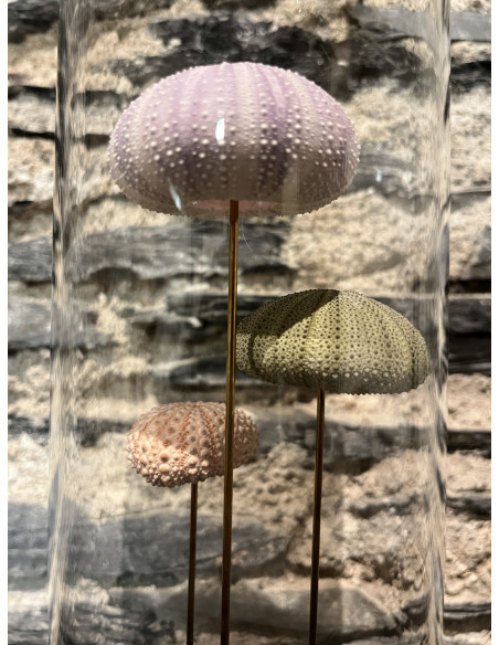 Accessoire salon globes pm oursins