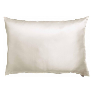 Taie Asheley Neige Soie 65/65