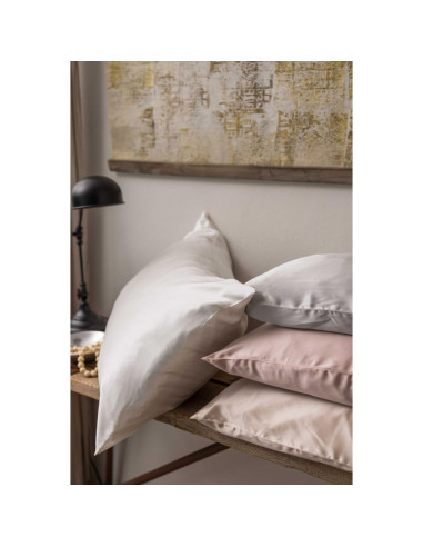 Taie Asheley Neige Soie 65/65