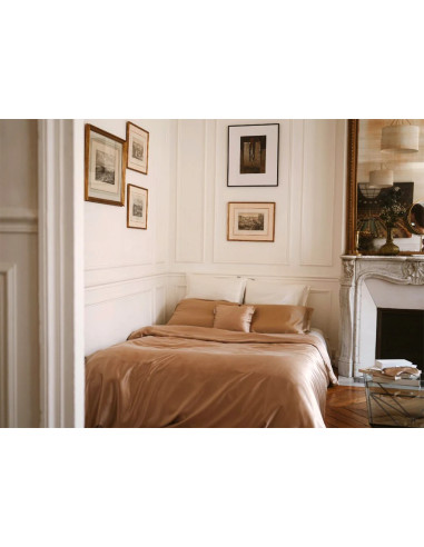 Taie silk french beige  65/65