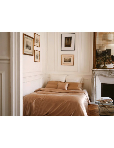 Taie silk french beige  65/65