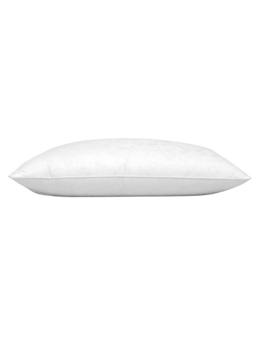 Double Naturel Duvet d'oie  50/75
