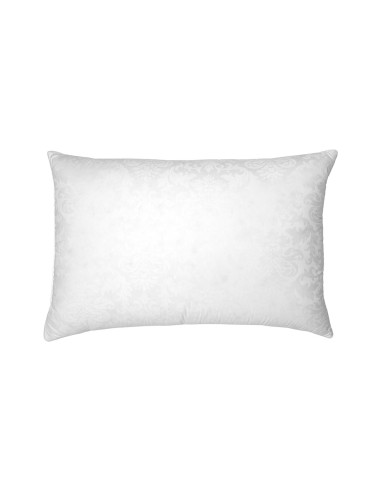 Double Naturel Duvet d'oie  50/75