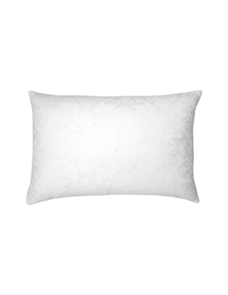 Double Naturel Duvet d'oie  50/75