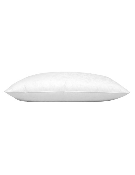 Double Naturel Duvet d'oie  65/65