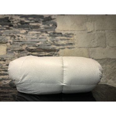 Mont Whitney Hiver Duvet d'oie 250gr/m²