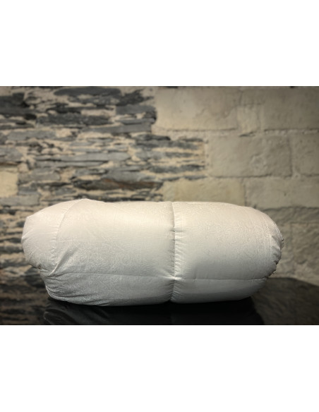 Mont Whitney Hiver Duvet d'oie 250gr/m²