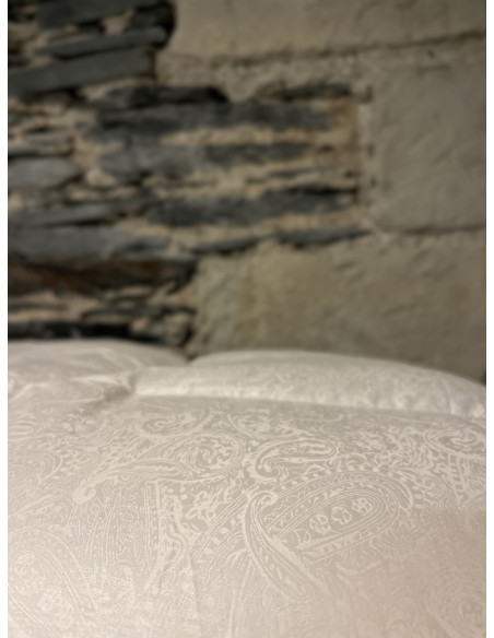 Mont Whitney Hiver Duvet d'oie 250gr/m²