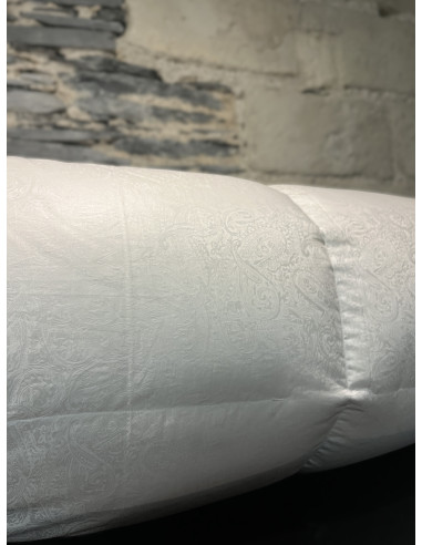 Mont Whitney Hiver Duvet d'oie 250gr/m²