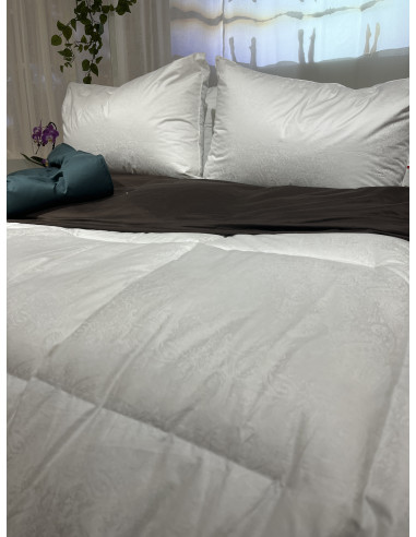 Mont Whitney Hiver Duvet d'oie 250gr/m²