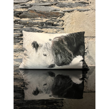 Coussin Aminci Natur 40/60