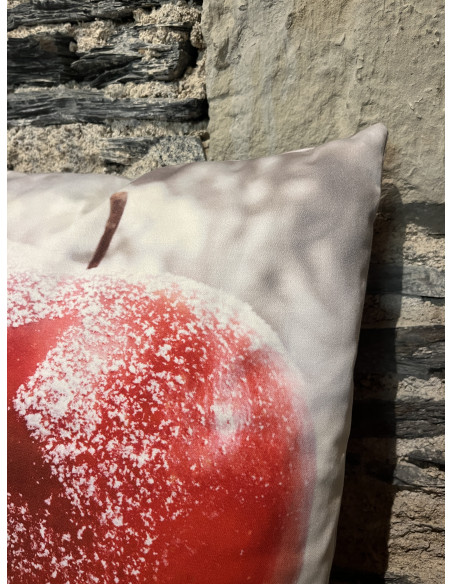 Coussin Idared Rot Natur 40/40