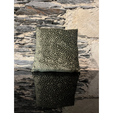 Coussin Estrella Thymian 40/40